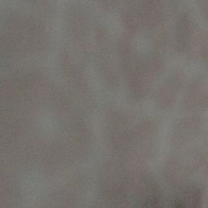 Meet your Posher, Texee